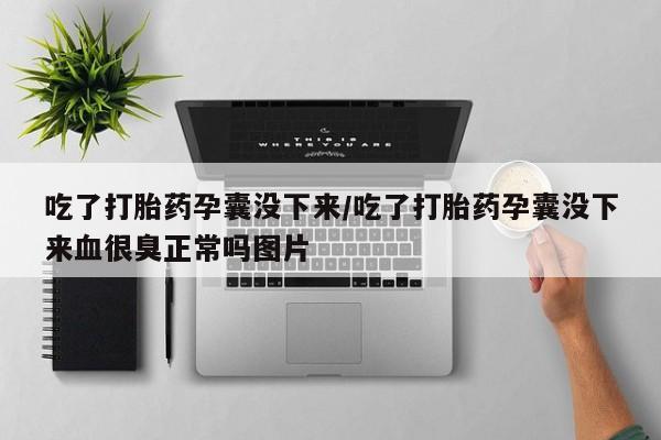 网上怎么购买流产药吃了打胎药孕囊没下来/吃了打胎药孕囊没下来血很臭正常吗图片